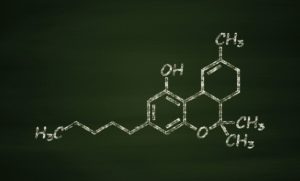 wirkstoffe thc